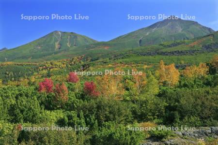大雪山の望岳台の紅葉と美瑛岳と美瑛富士