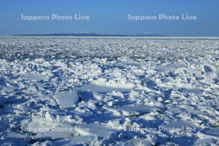 オホーツク海の流氷と国後島