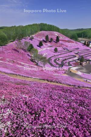 ひがしもこと芝桜公園