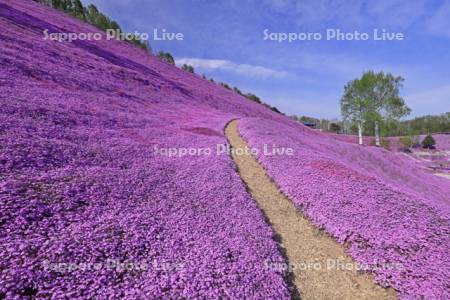 ひがしもこと芝桜公園