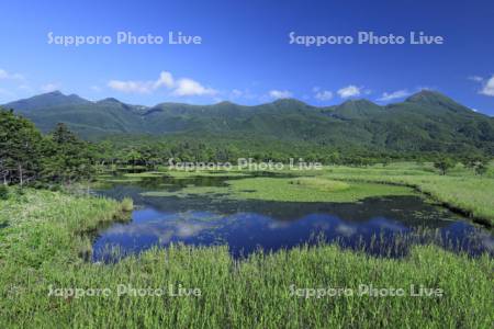 知床五湖の第一湖と知床連峰