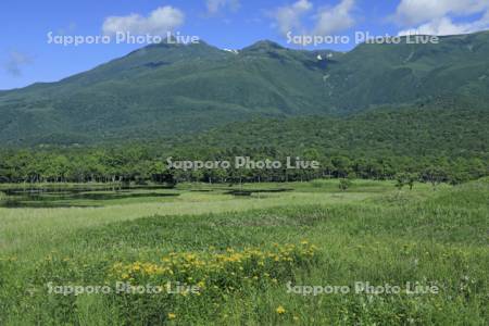 知床五湖の第一湖と知床連峰