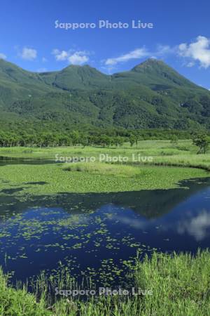 知床五湖の第一湖と知床連峰