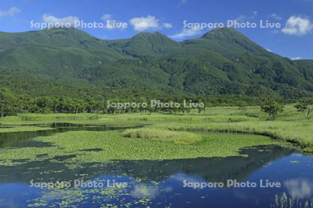 知床五湖の第一湖と知床連峰