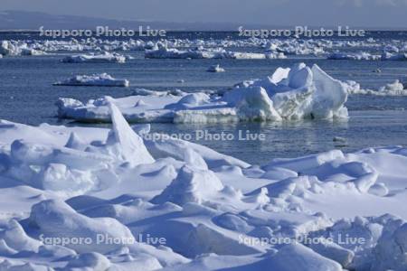 根室海峡の流氷