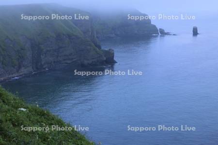 朝霧の霧多布岬