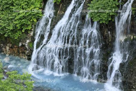 白ひげの滝