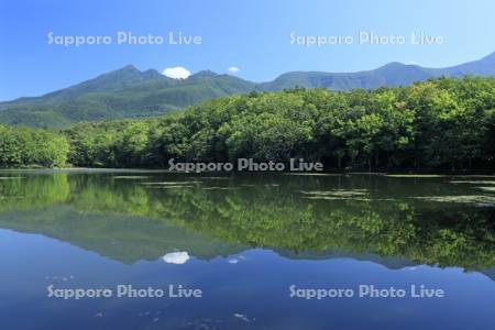 知床五胡の第四湖と知床連峰