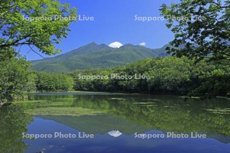 知床五胡の第四湖と知床連峰