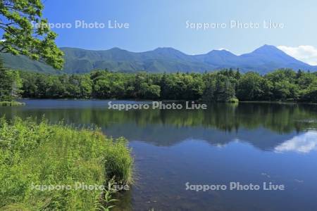 知床五胡の第三湖と知床連峰