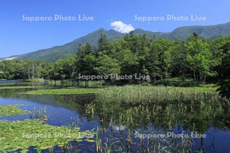 知床五胡の第三湖と知床連峰