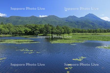 知床五胡の第一湖と知床連峰