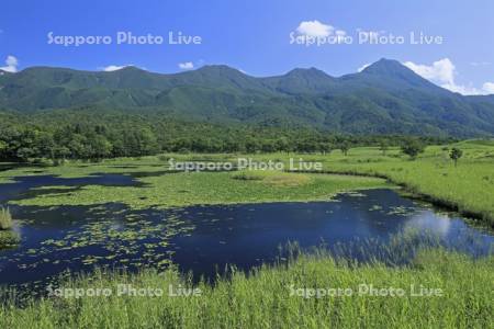 湖畔展望台から知床五胡の第一湖と知床連峰