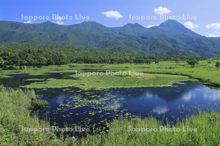 湖畔展望台から知床五胡の第一湖と知床連峰