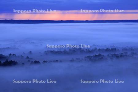 北斗のサテライト展望台から朝霧の釧路湿原