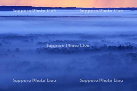 北斗のサテライト展望台から朝霧の釧路湿原
