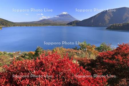 本栖湖の紅葉と富士山・世界遺産