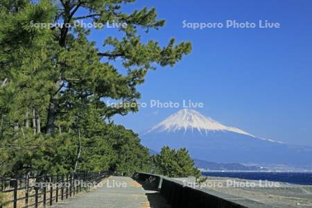 三保の松原と富士山　世界遺産