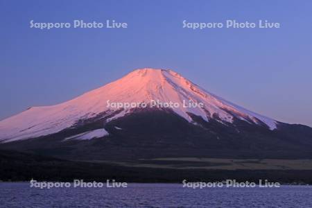 山中湖から朝焼けの富士山　世界遺産