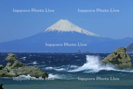 西伊豆から富士山と波しぶき　世界遺産