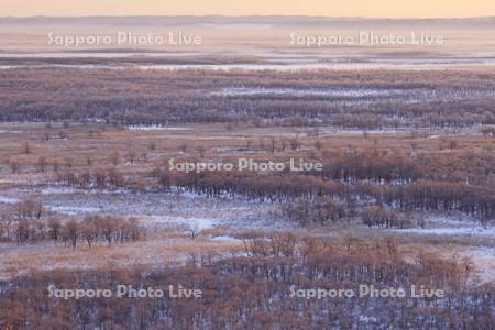 サテライト展望台から朝焼けの霧氷の釧路湿原