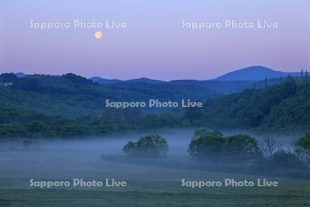 朝もやと満月