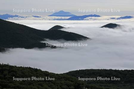 知床峠から根室海峡の雲海と国後島の茶々岳・世界遺産