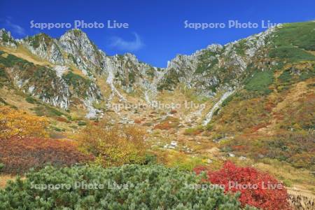 千畳敷カールの紅葉と中央アルプスの山