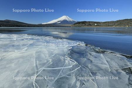 凍る山中湖と富士山　世界遺産
