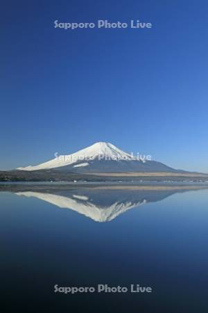 山中湖と逆さ富士　世界遺産