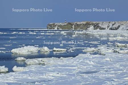 流氷と能取岬