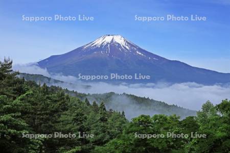 二十曲峠から初夏の富士山