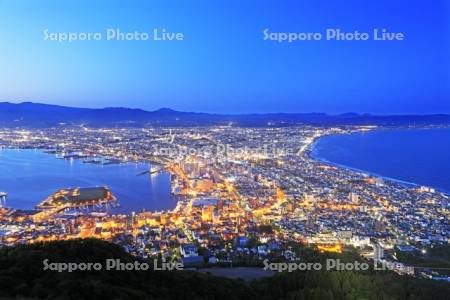 函館山から函館市街の夜景