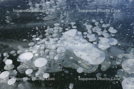 糠平湖のアイスバブル