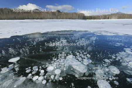 糠平湖のアイスバブル