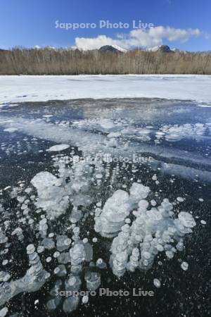 糠平湖のアイスバブル