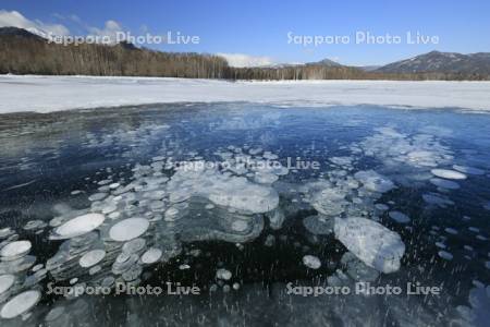 糠平湖のアイスバブル