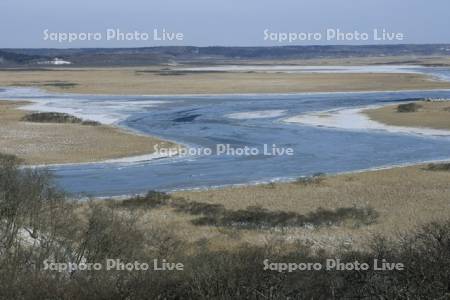 冬の霧多布湿原