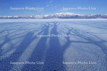 フロストフラワーの屈斜路湖の樹影と藻琴山