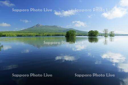 夏の大沼公園と駒ヶ岳