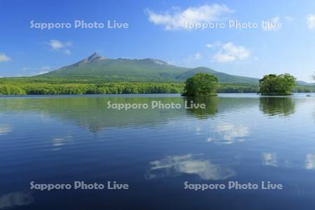 夏の大沼公園と駒ヶ岳