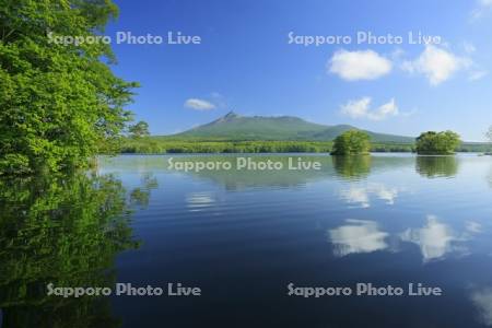 夏の大沼公園と駒ヶ岳