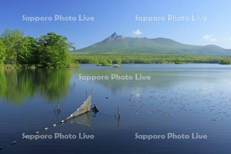 夏の大沼公園と駒ヶ岳