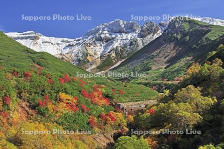 十勝岳温泉の紅葉と上ホロカメットク山