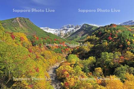 十勝岳温泉の紅葉と上ホロカメットク山