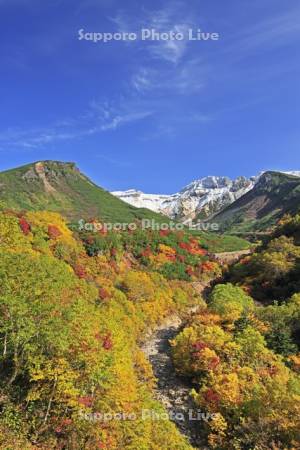 十勝岳温泉の紅葉と上ホロカメットク山