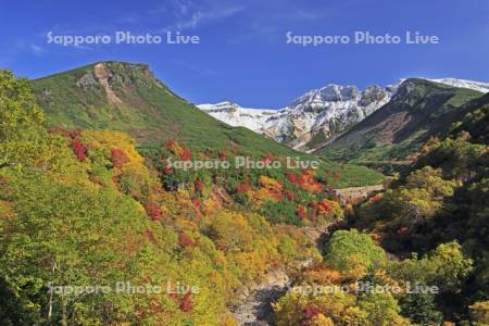 十勝岳温泉の紅葉と上ホロカメットク山