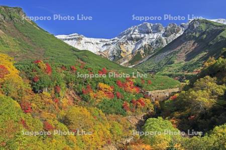 十勝岳温泉の紅葉と上ホロカメットク山