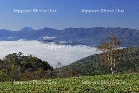 藻琴峠から屈斜路湖にかかる雲海と雄阿寒岳