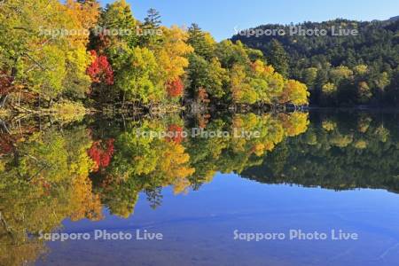 オンネトーの湖畔の紅葉